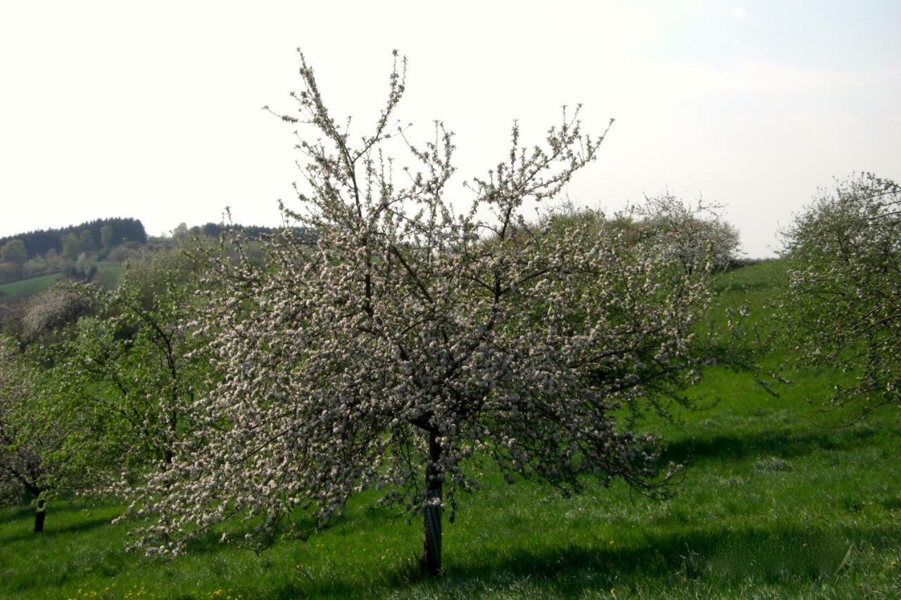 Ferienwohnung Kuhn Rhumspringe Esterno foto